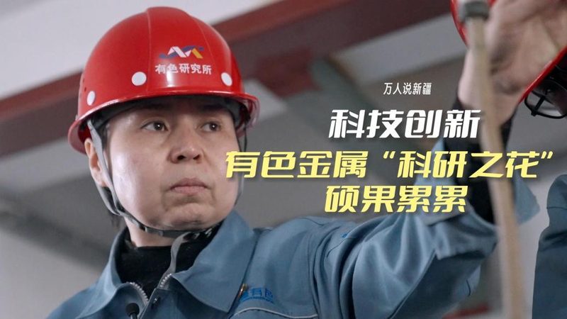 知识图谱搜索引擎：揭秘其价格背后的价值与考量